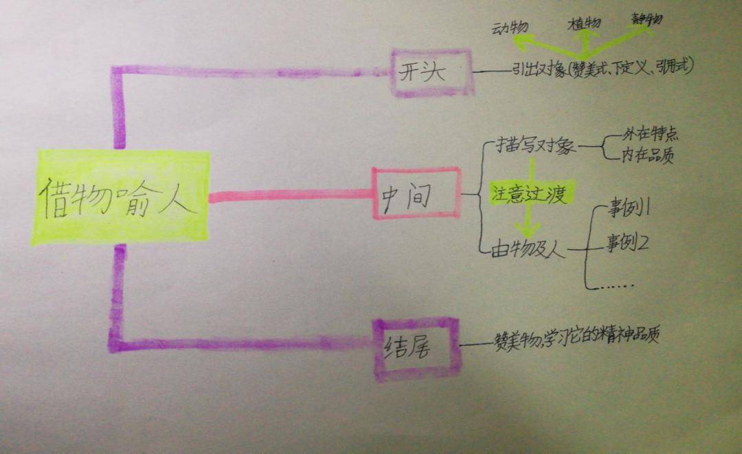 众多的人口思维导图初一_众多的人口思维导图(3)