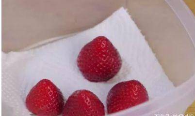 草莓怎么办