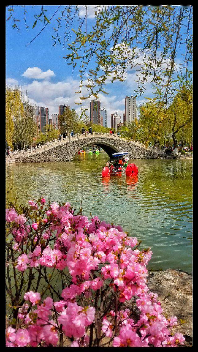 西宁人民公园春天的红花,绿叶,清湖依旧装饰点缀着