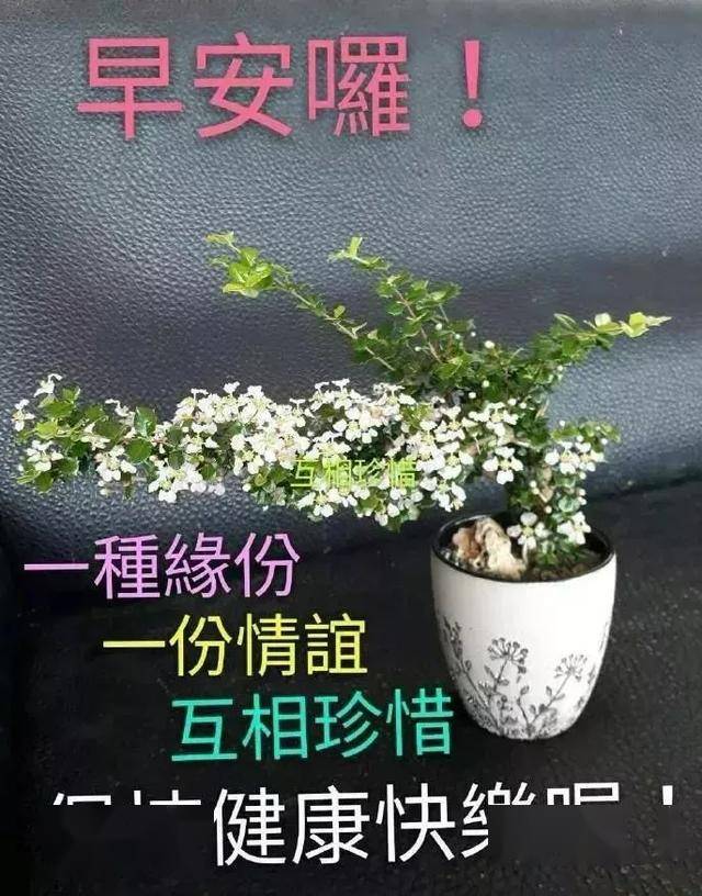 这个五月早上好问候语动画图片大全 早晨祝福语表情包