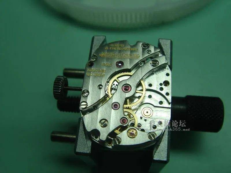 ����һֻ���޵Ļ���С���뷵ת