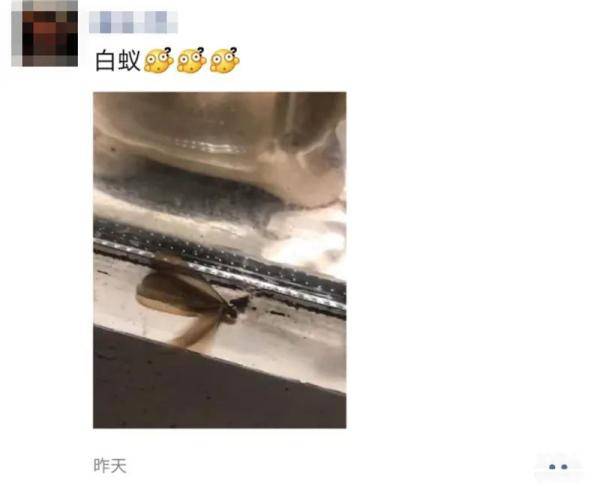 「单元楼」头皮发麻! 夜晚, 浙江一小区多个单元楼下出现恶心一幕.....，