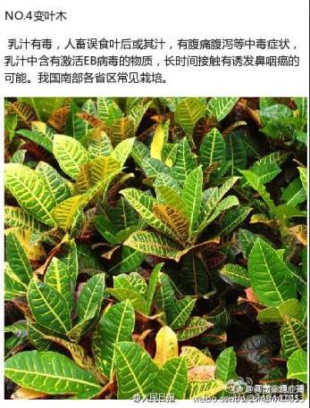 #孩子#一人陷入昏迷！原因让人后怕警惕！4个男孩路边呕吐