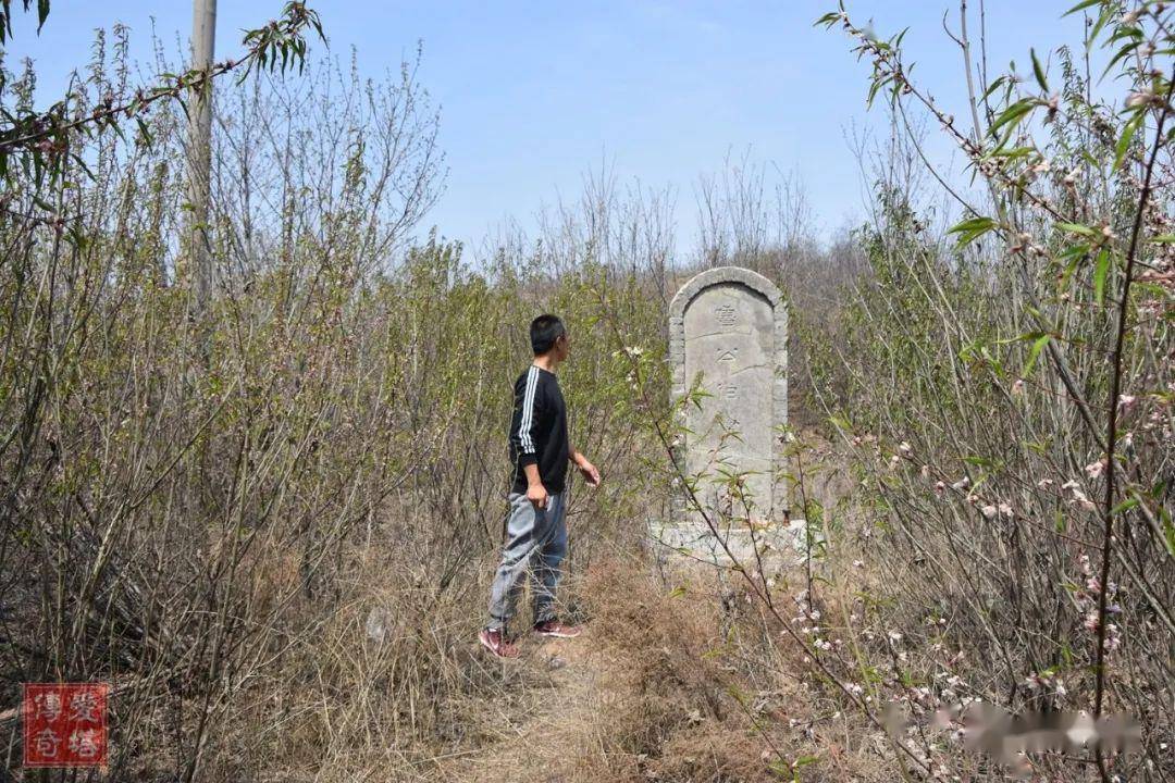 04.03,北周武帝宇文邕孝陵2019.04.