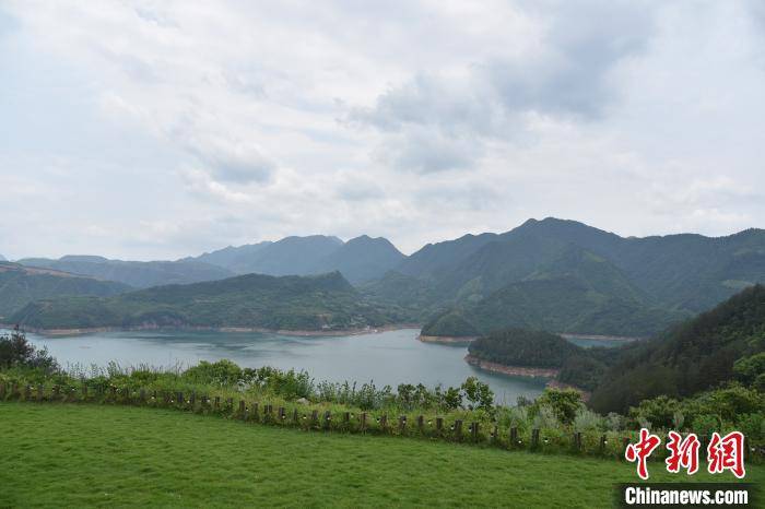 浙江遂昌逐"绿"前行:唯有"绿富美"不负大地容颜