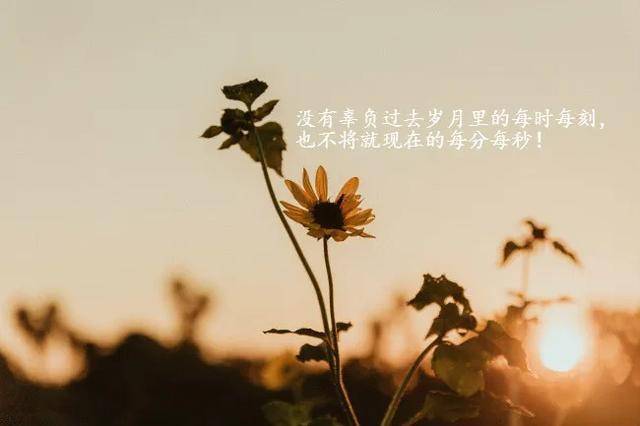 7d4776b378a6487a8a782ad25b8f7734.jpeg