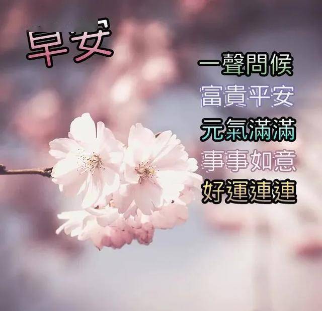 e82988e2722741e1b5c4602b1eb45069.jpeg