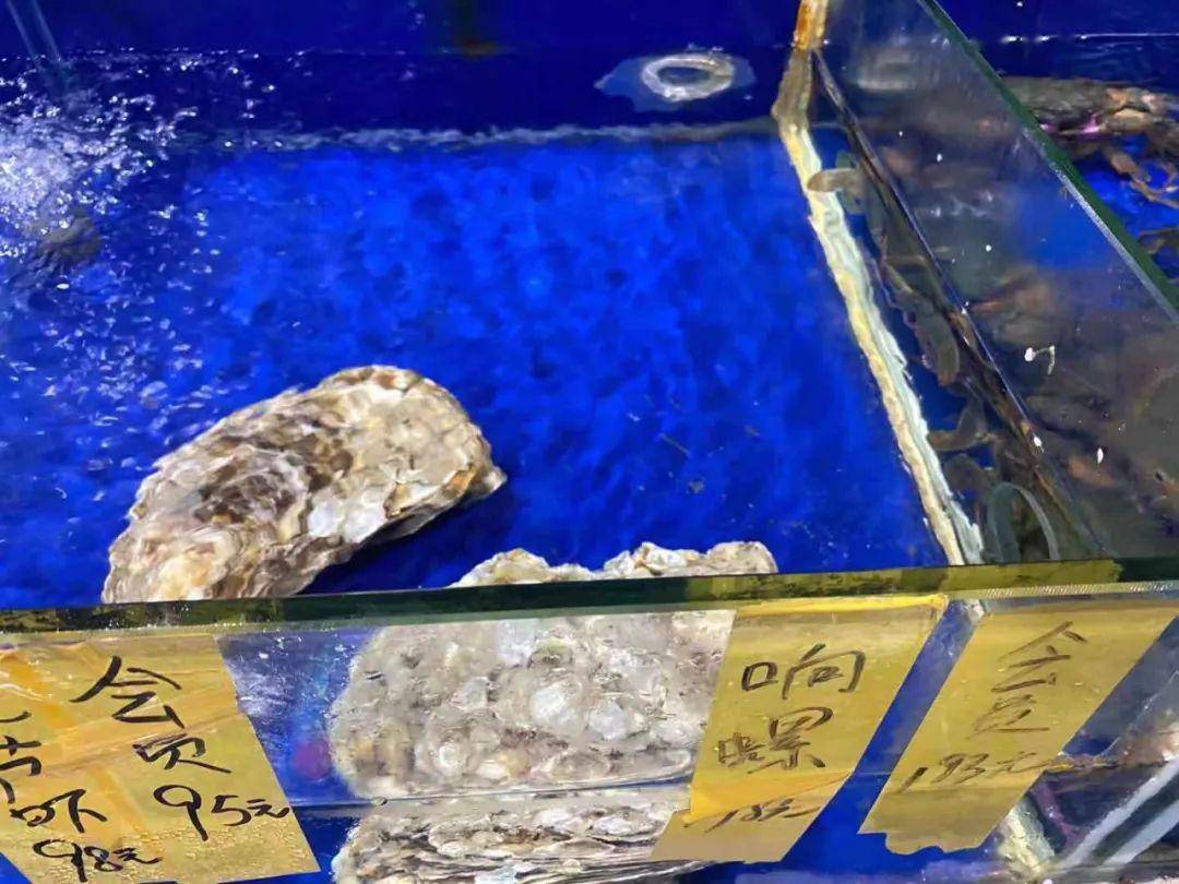 鱼虎云一猜一成语大全_一图一成语猜答案大全(2)