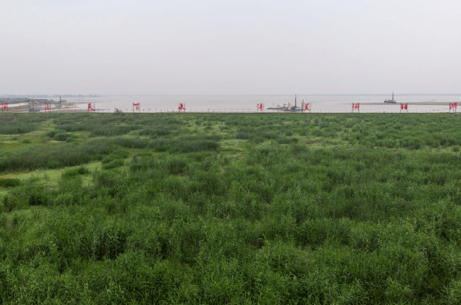 安乡县安丰乡珊珀湖湿地.新华社记者 陈思汗 摄