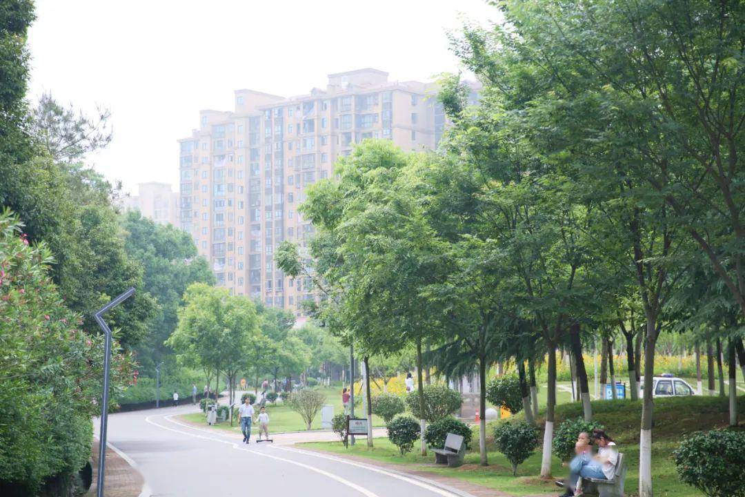 生活在宁乡,这些美好你发现了吗?_公园