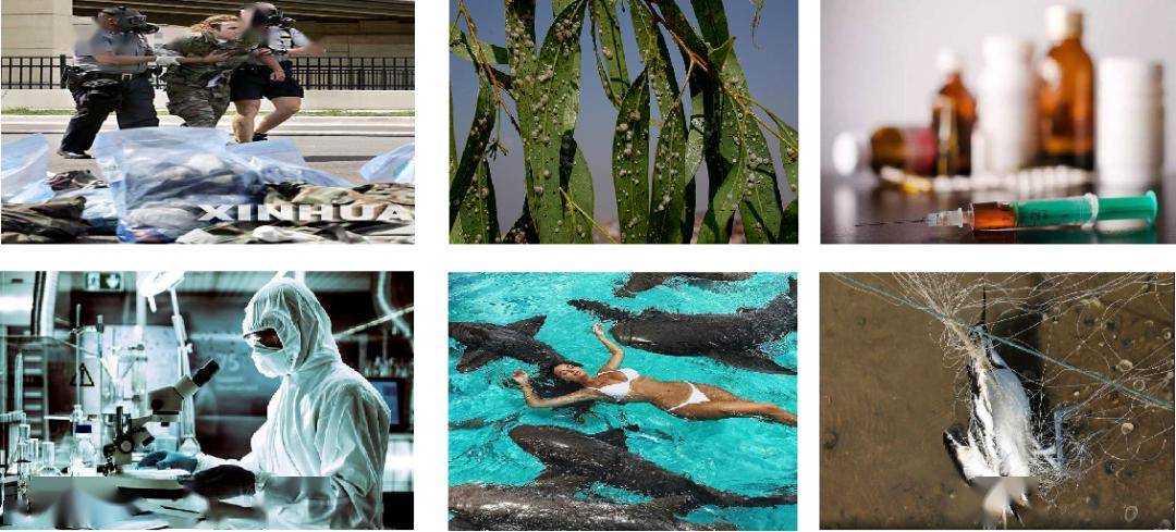 国防教育栏目｜我国面临什么样的生物安全形势