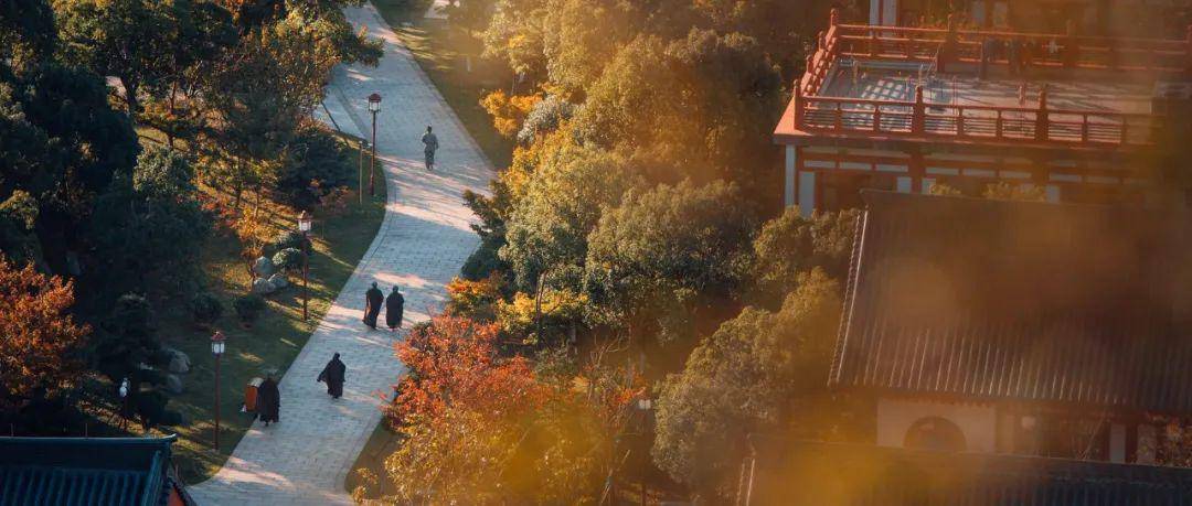 文章配图-6