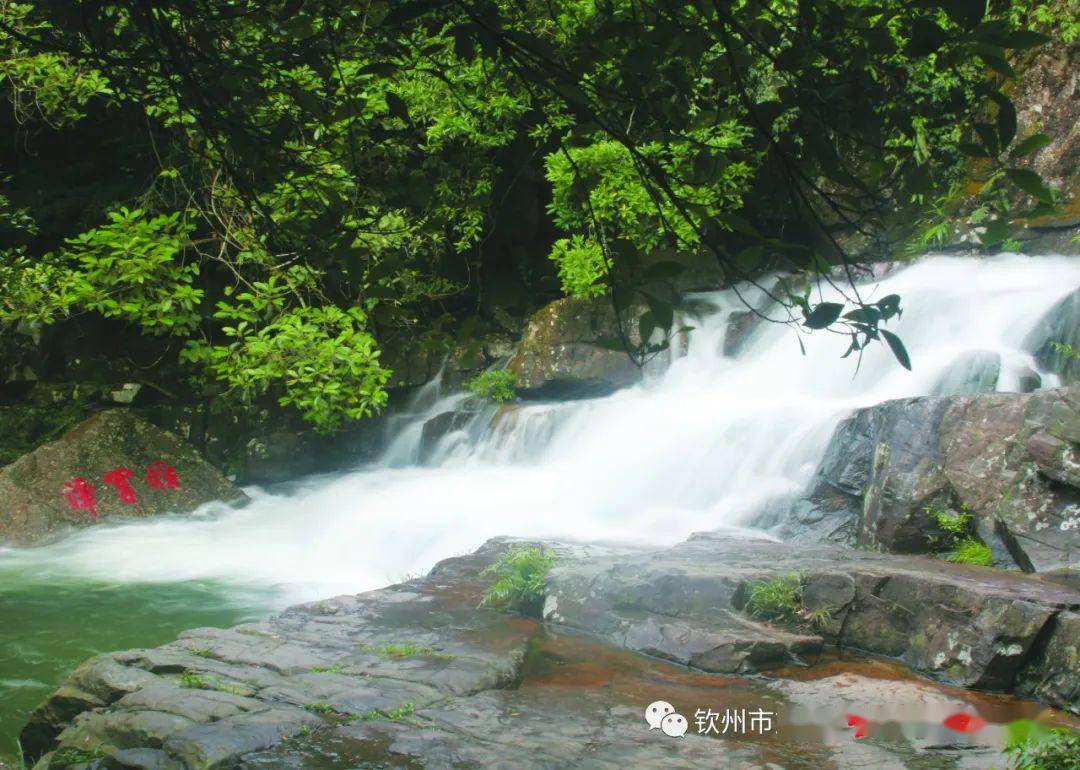 "5.19中国旅游日"钦州三家4a级景区门票全免