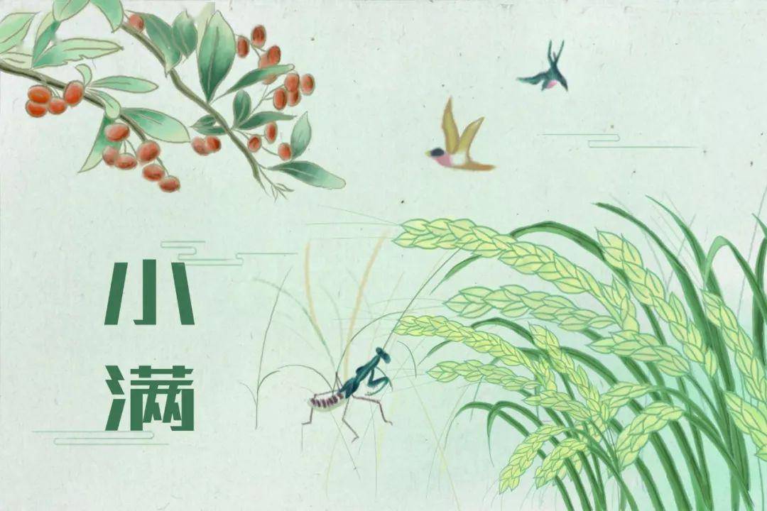 『有关』【新时代百育教育】今日小满！和这个节气有关的诗歌也太美了吧......快讲给孩子！