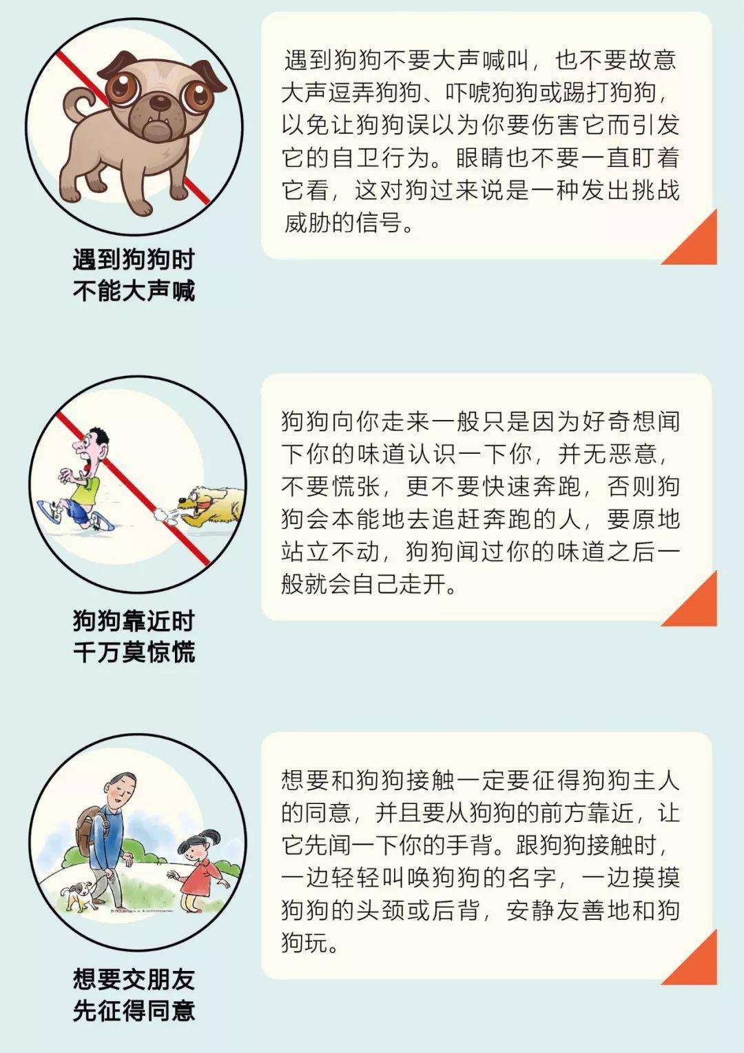 创城 文明养犬,爱它就要管好它,这些点您知道吗?