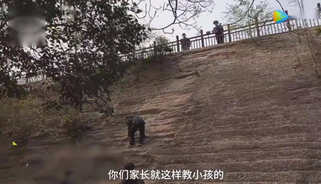 当一个孩子变得越来越“熊”，该反思的是父母
