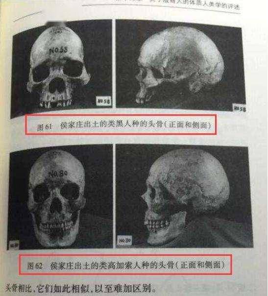 黑人人口入侵_黑人头像搞笑