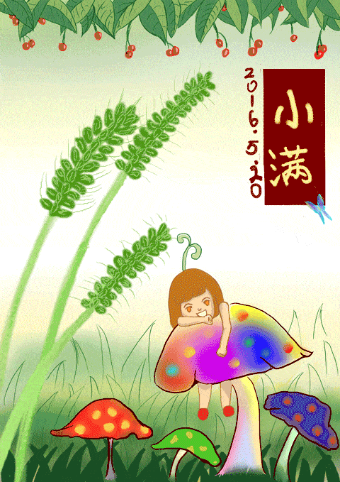 二十四节气知小满篇图文