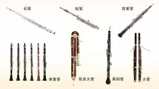 狭义上的管乐器分为  木管(legni)和  铜管(ottoni)两大类,前者包括