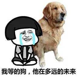 6c502adc90374c01a854a04cfe912281.jpeg