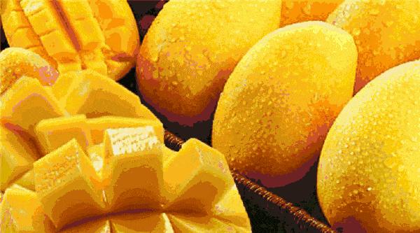 6dec0e617a2f4998a608f9662e2ecdec.gif