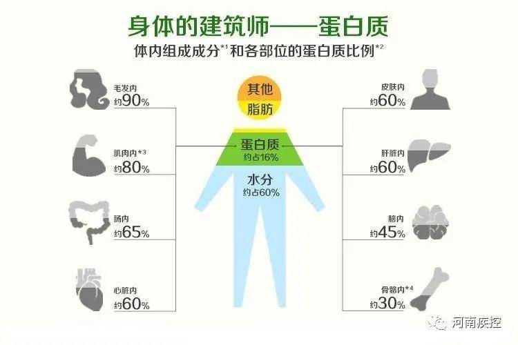 优质蛋白食物排行一览表 72ca523e51e548638a9cf38866841ab3.jpeg