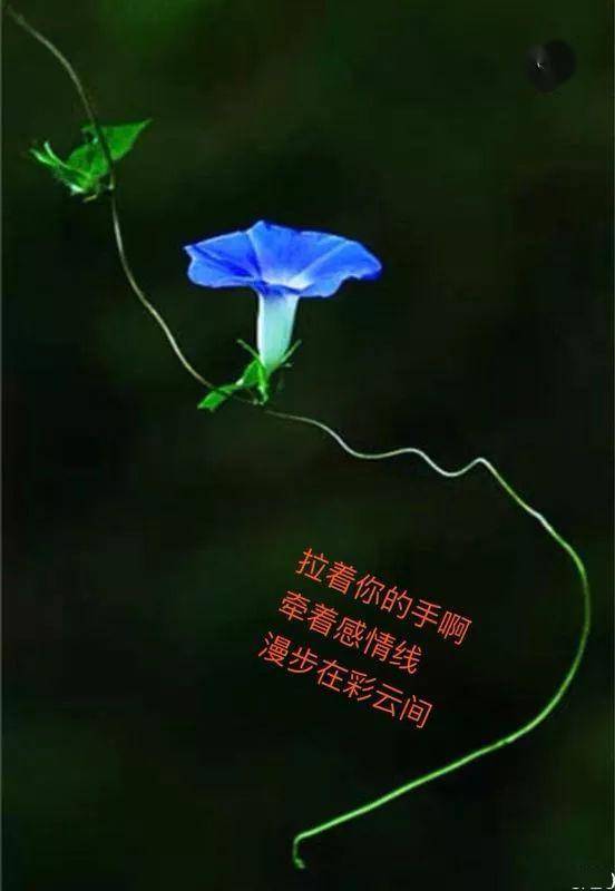 a960d0dc737941a9835c380b5edb409e.jpeg