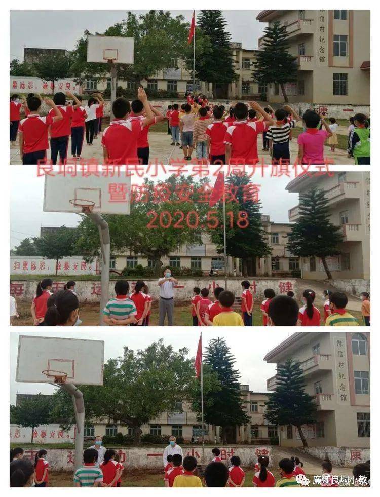 新民小学18黎明八队小学17蒲苏小学16那梭小学15大垌小学14新华小学