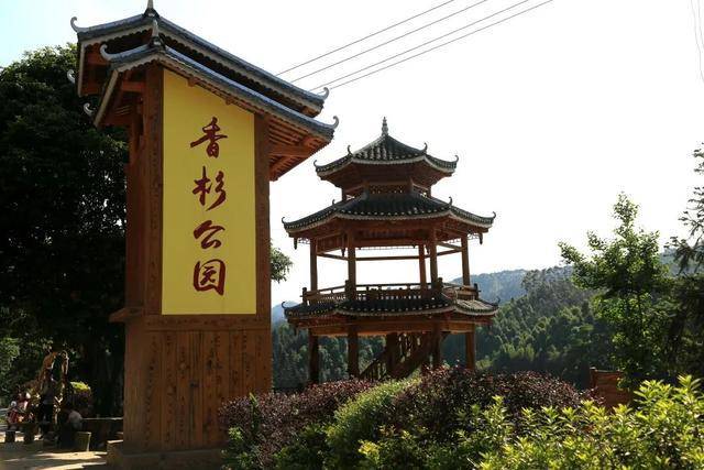 融安县"林海杉源"香杉公园是该县集体经济旅游扶贫项目,也是"融安香杉