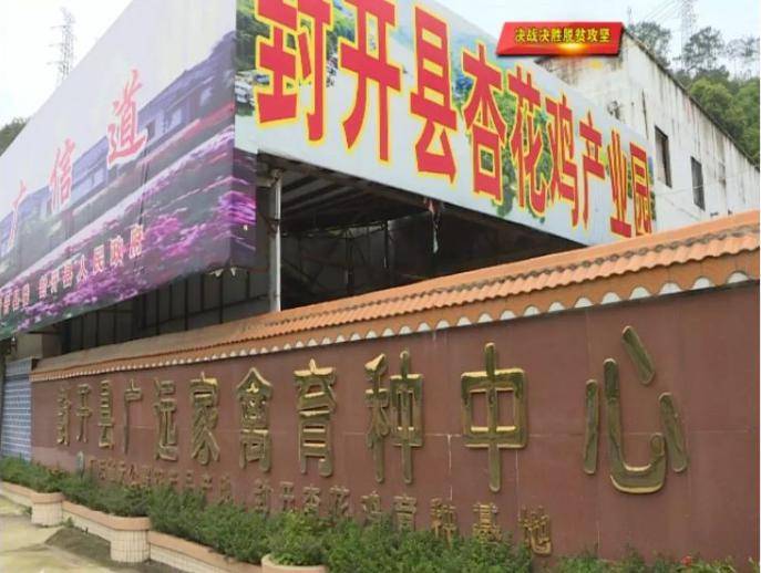 【决战决胜脱贫攻坚】封开县积极引导贫困户就近就业
