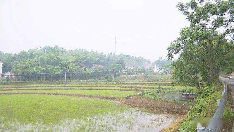 尧天坪镇gdp_尧天坪镇地图 尧天坪镇卫星地图 尧天坪镇高清航拍地图