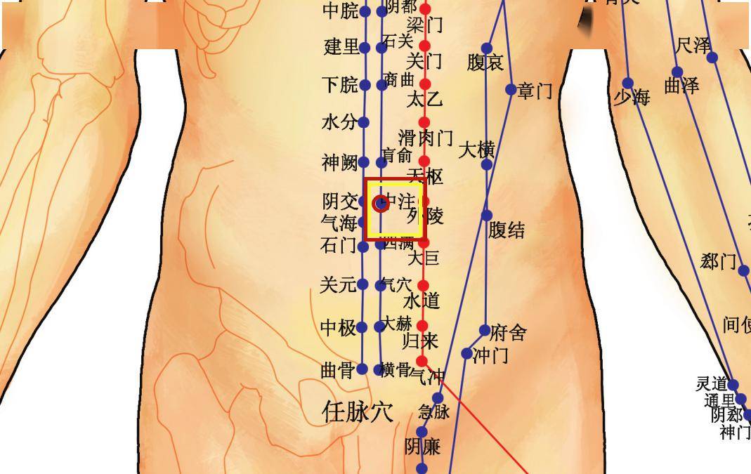 穴位知识 | 十二经脉·足少阴肾经之中注穴