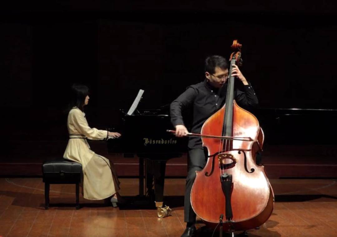 高雅艺术鉴赏|经典名曲音乐之:低音提琴篇