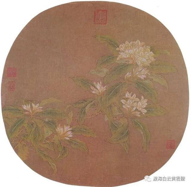 今天,我们一起来学习欣赏戴琬的作品——《瑞香花》.