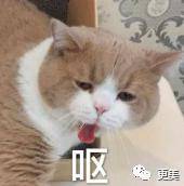 张雨绮因生过孩子被嘲？杨幂被diss裙子短？恶臭男们有完没完