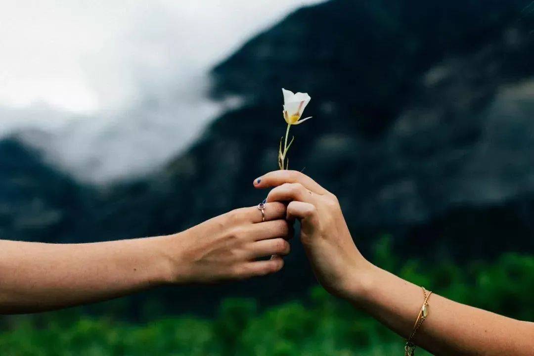 本该是撒狗粮的520,深圳离婚排号却一号难求,你对婚姻