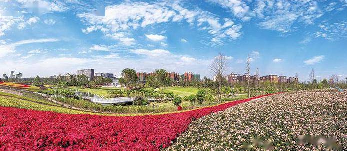 18日,天府芙蓉园景区被确定为国家4a级旅游景区.(图据 四川在线)