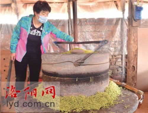 「药王」小满里的大智慧（二十四节气与洛阳），小得盈满