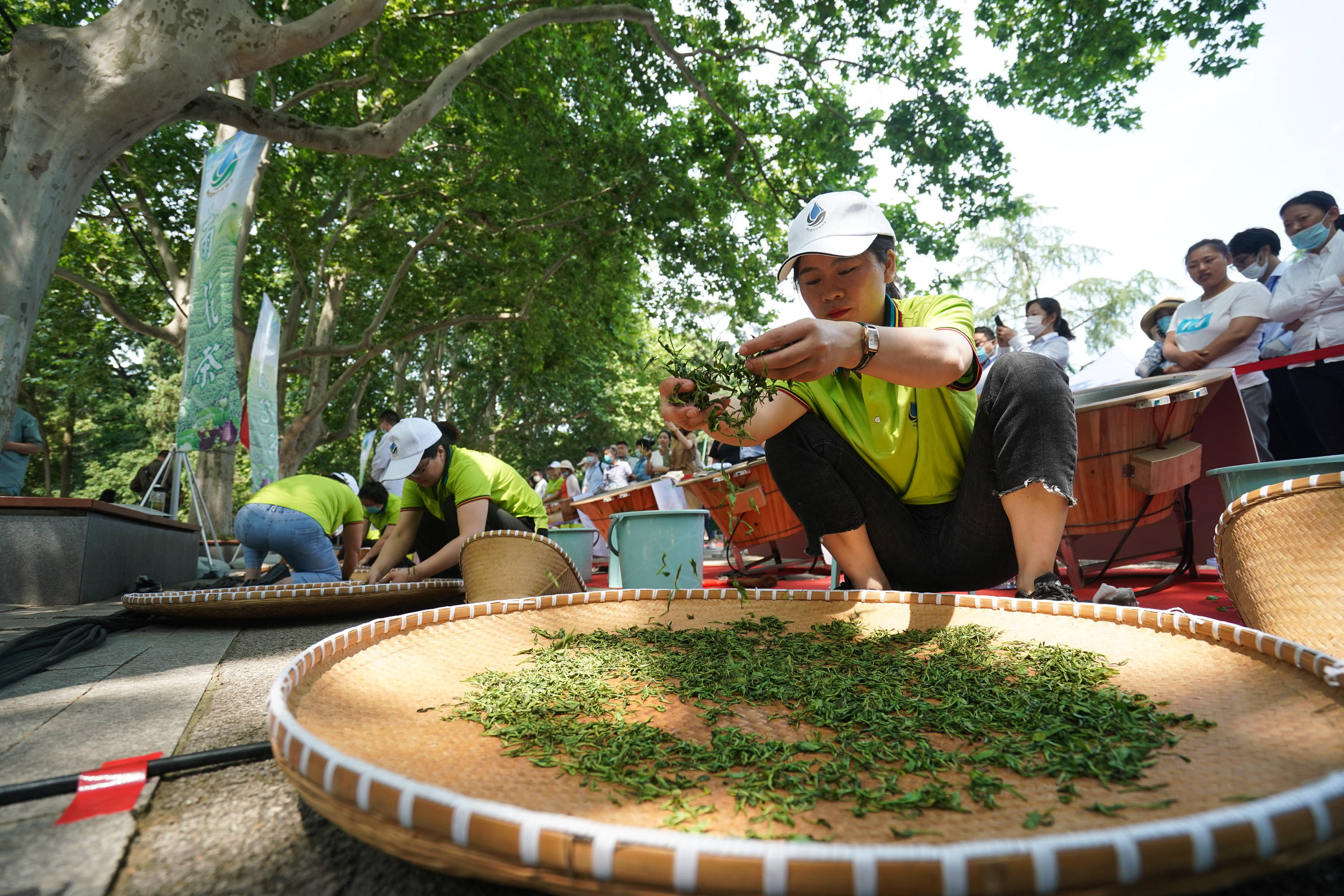 2020江苏省手bob足球工炒茶暨南京市雨花茶手工炒制大赛(组图)
2020江苏省手bob足球工炒茶暨南京市雨花茶手工炒制大赛(组图)