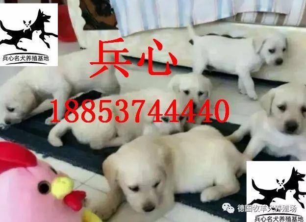 cd5e54227c464475bb472613daa65063.jpeg
