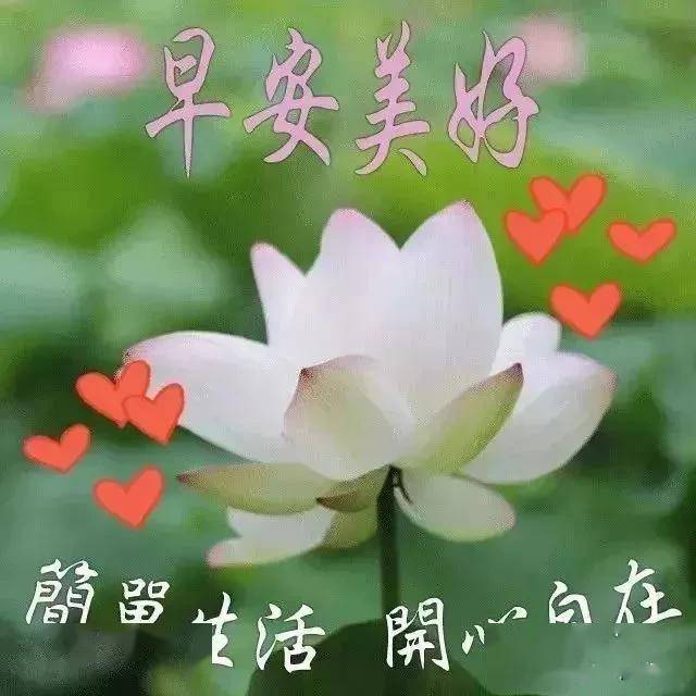 怎样让自己开心过好每一天 174de9ba6efd427b9b09f0d00fd35681.jpeg