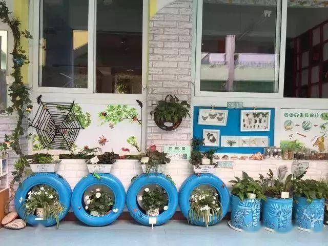 「植物」让种植成为孩子探索自然的起点！【植物角】60种植物角新玩法
