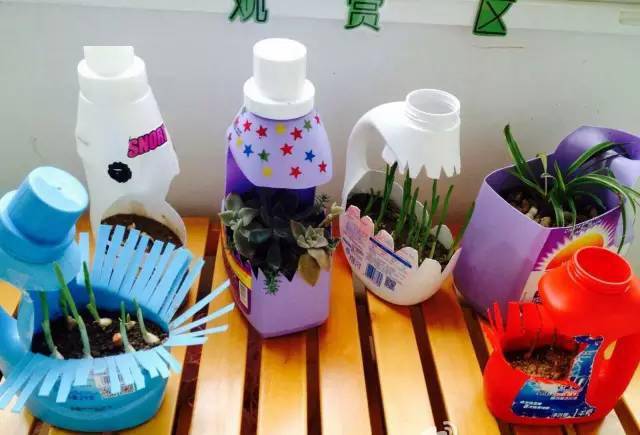 「植物」让种植成为孩子探索自然的起点！【植物角】60种植物角新玩法