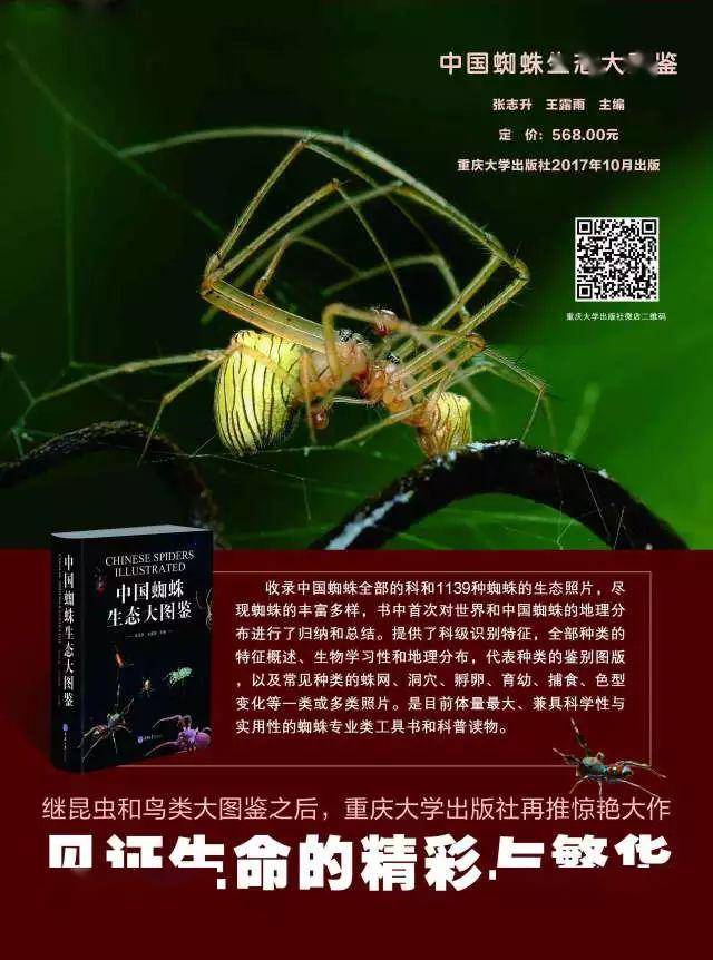 《中国蜘蛛生态大图鉴》共选用了近2 300张蜘蛛生态照片和130张蜘蛛