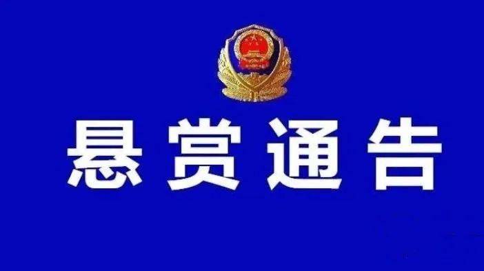 洱源警方悬赏1