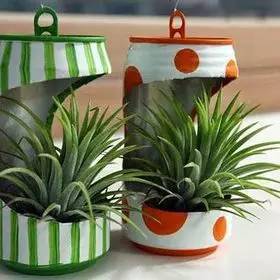 「植物」让种植成为孩子探索自然的起点！【植物角】60种植物角新玩法