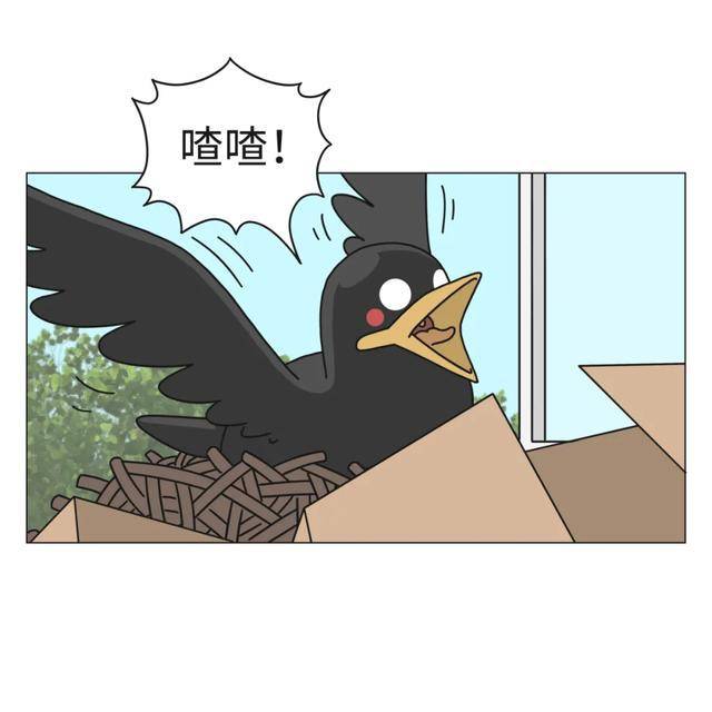 搞笑漫画被一只鸟记仇是什么体验