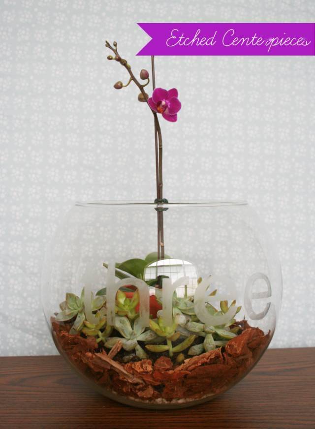 「植物」让种植成为孩子探索自然的起点！【植物角】60种植物角新玩法
