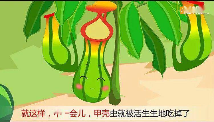 【娃娃绘本馆】线上绘本《草吃虫的故事》