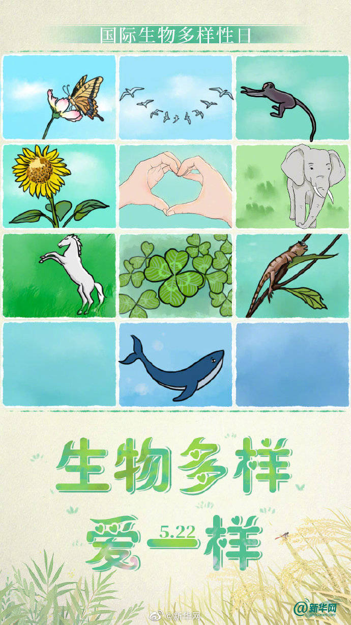 国际生物多样性日##生物多样爱一样